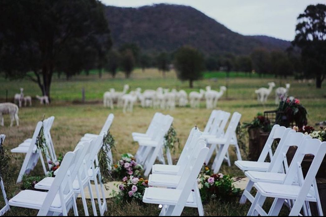Starline Alpacas Farmstay Resort-1434451