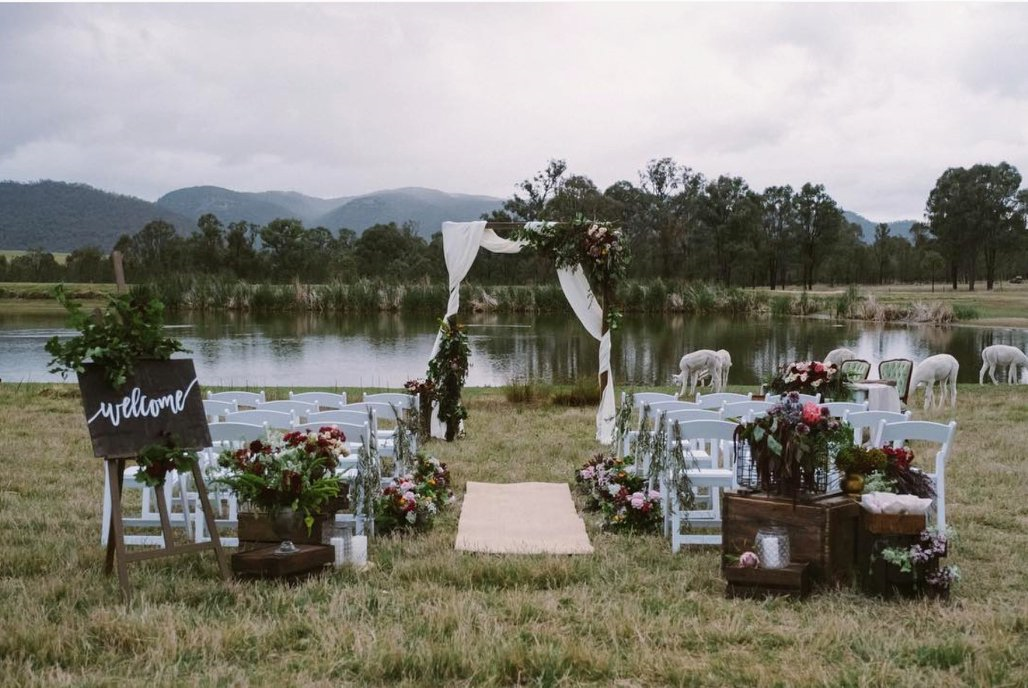 Starline Alpacas Farmstay Resort-1434473