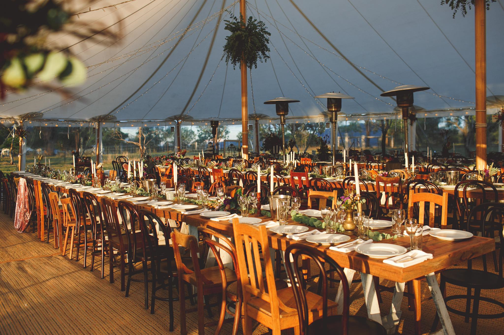 Starline Alpacas Farmstay Resort-1434527