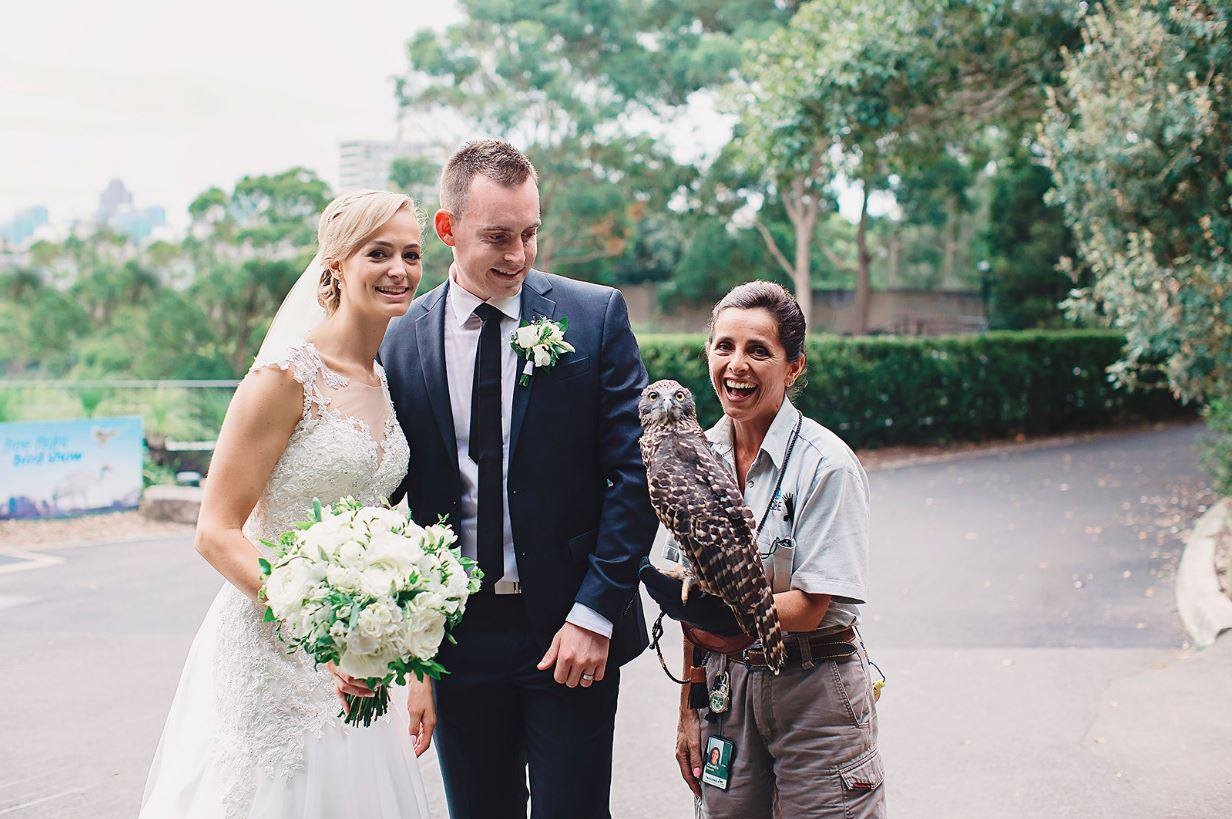 Taronga Zoo Weddings-1405188
