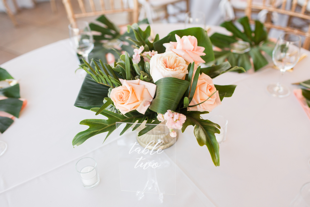 The Function Glenelg-1668547