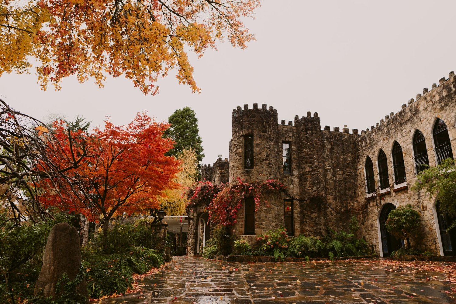 The Manor Basket Range-1404047