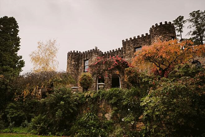 The Manor Basket Range-1404156