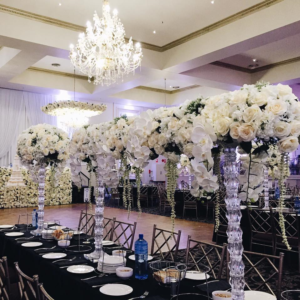 The Westella Renaissance-1479162