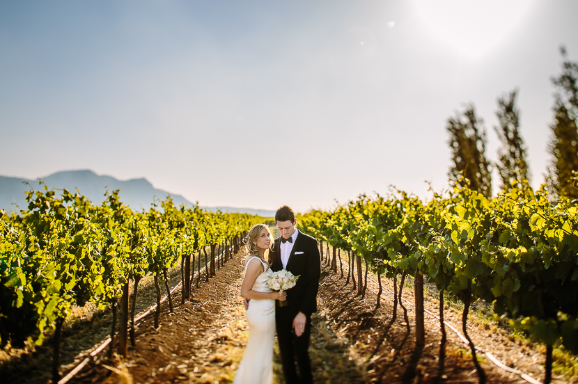 Estate Tuscany-1412547