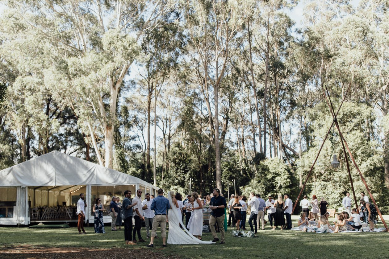 Weddings in the Wilde-1805037