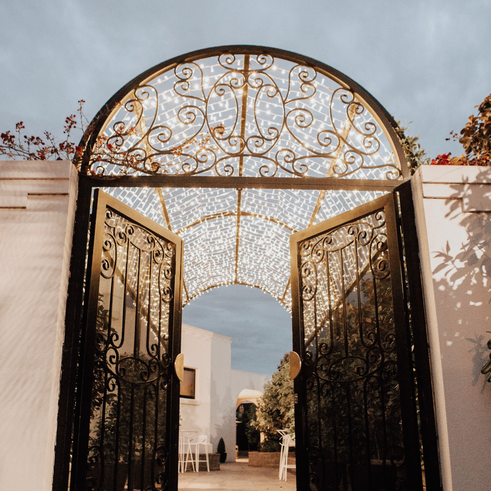 White Night Receptions-1754282