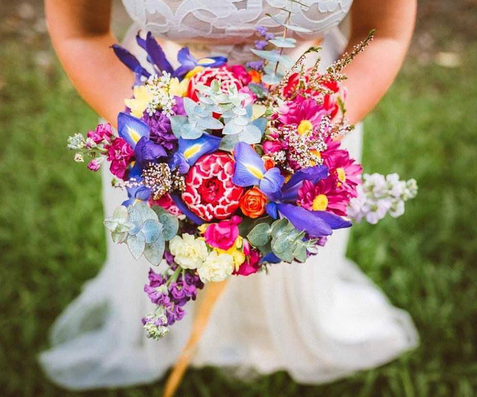 Blissful Blooms of the Far North