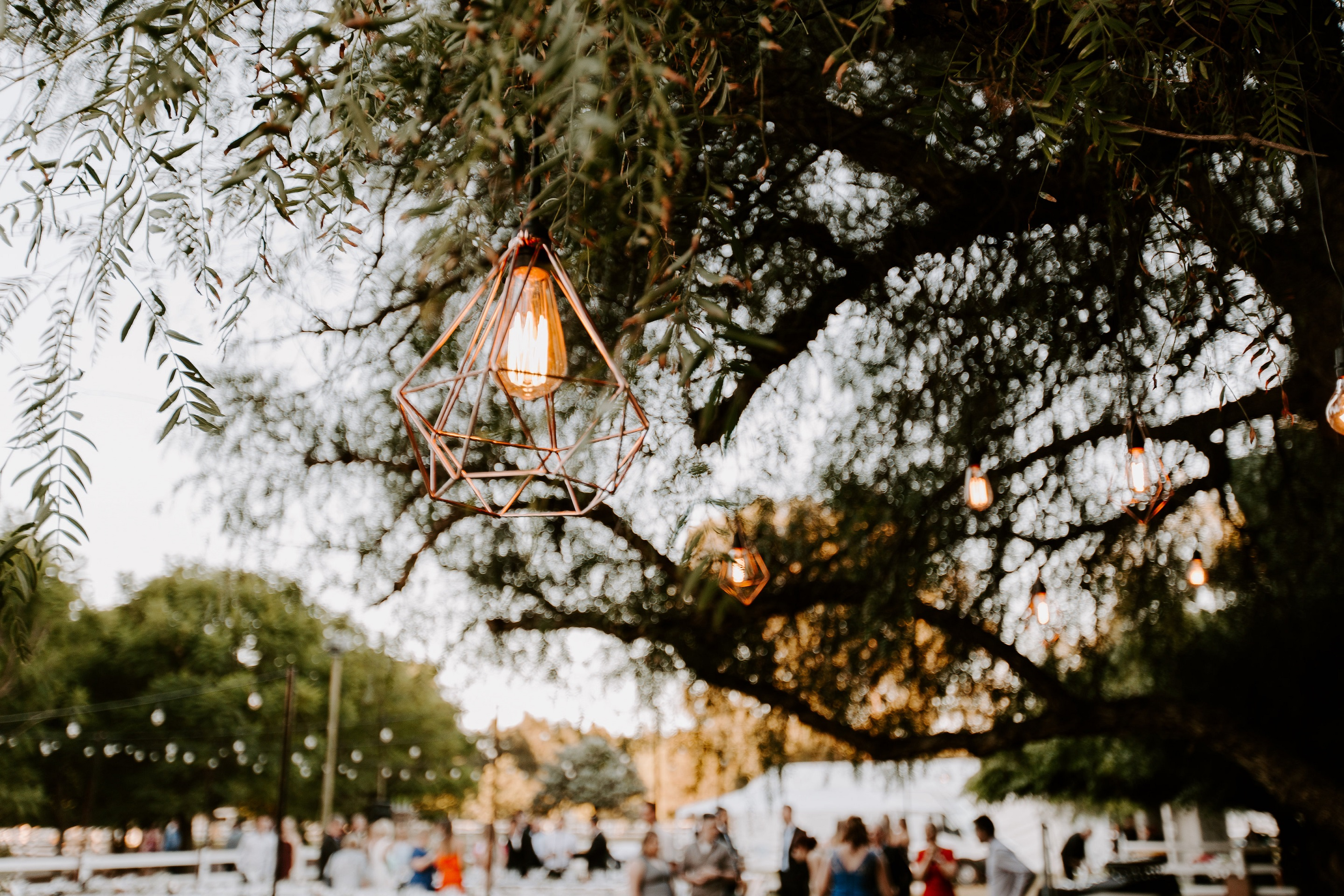 Brookleigh Estate-1466102