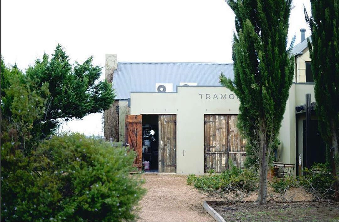 Tramonto Kitchen & Bar @ Badgers Brook Winery-1821307