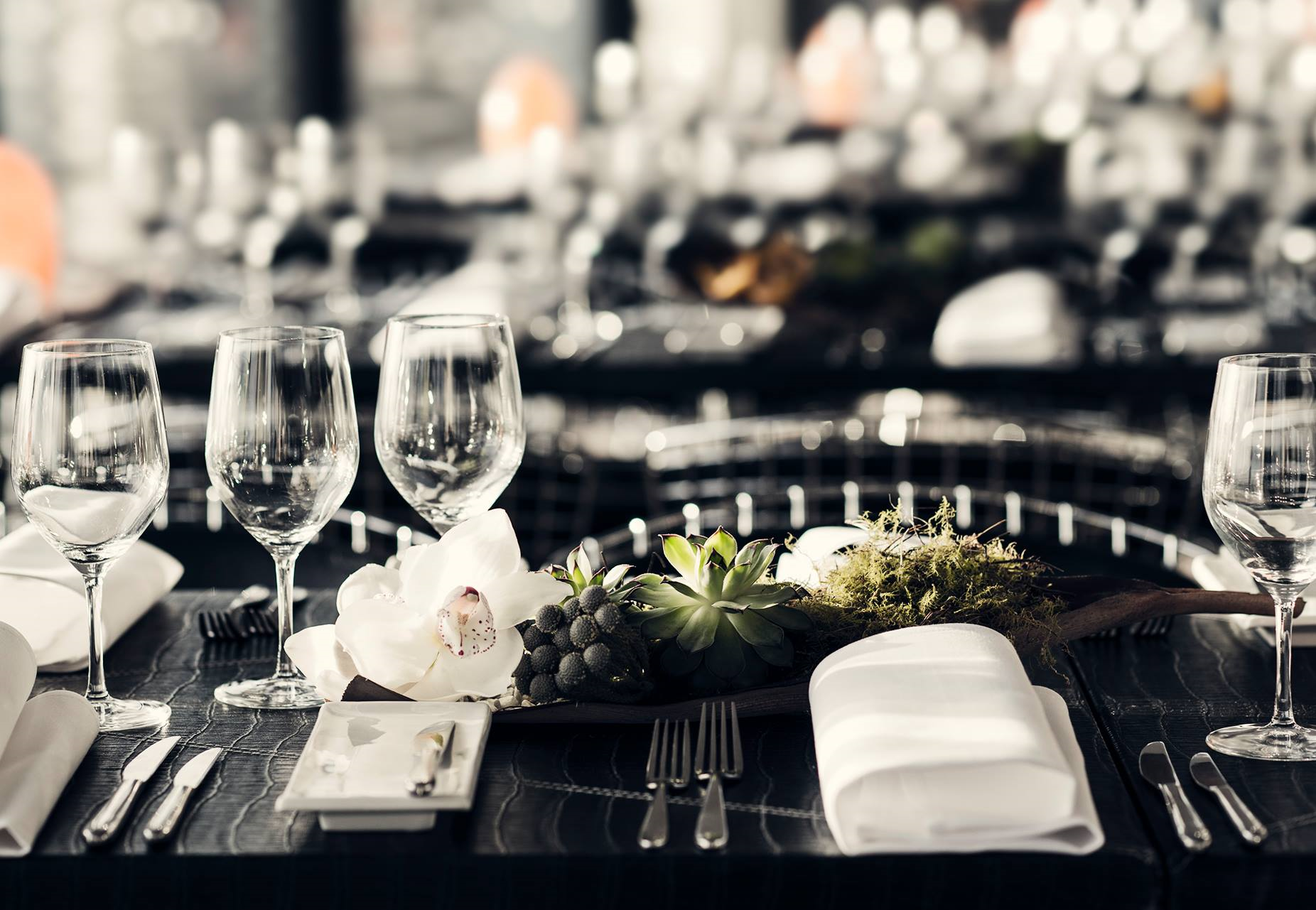 O Bar & Dining-1924947