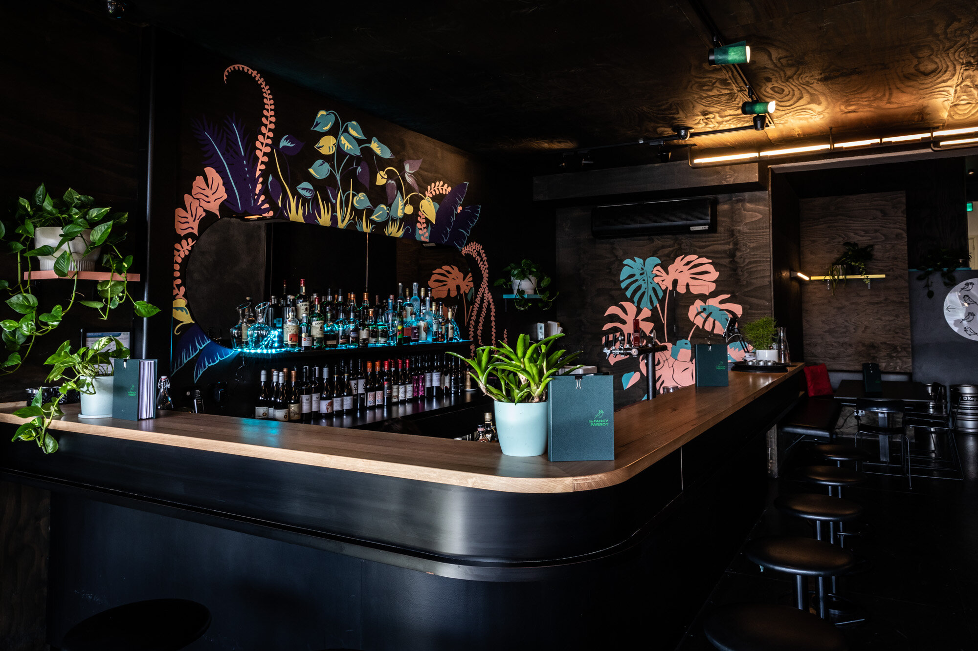 The Fancy Parrot-1871586