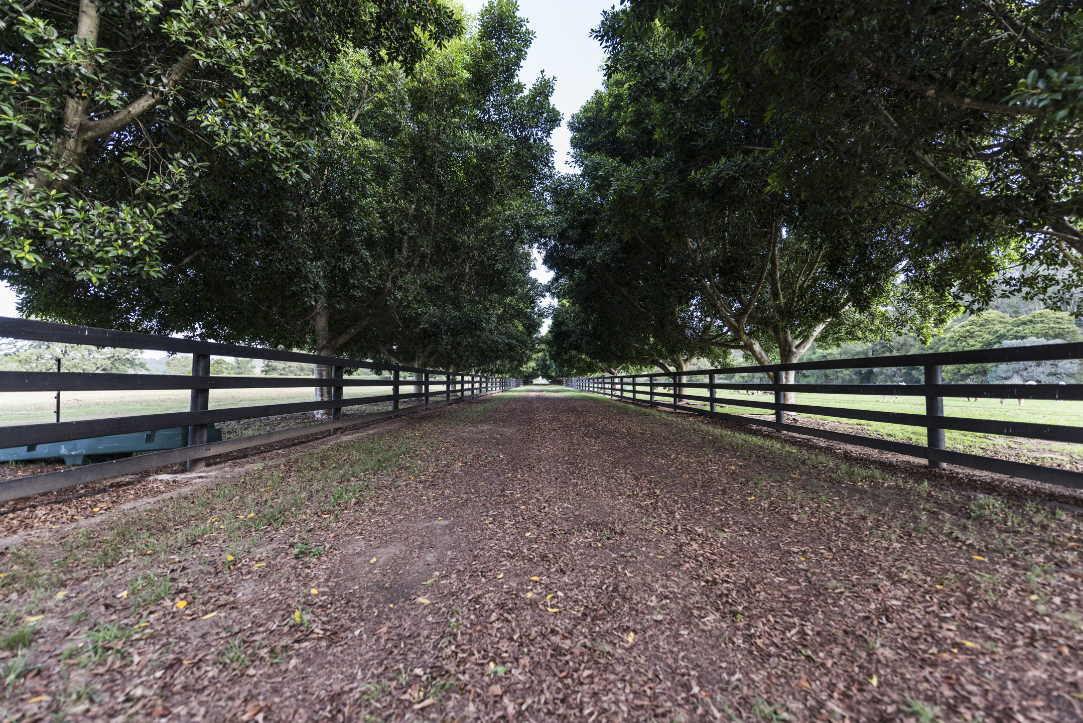 Sweven Estate-2039252