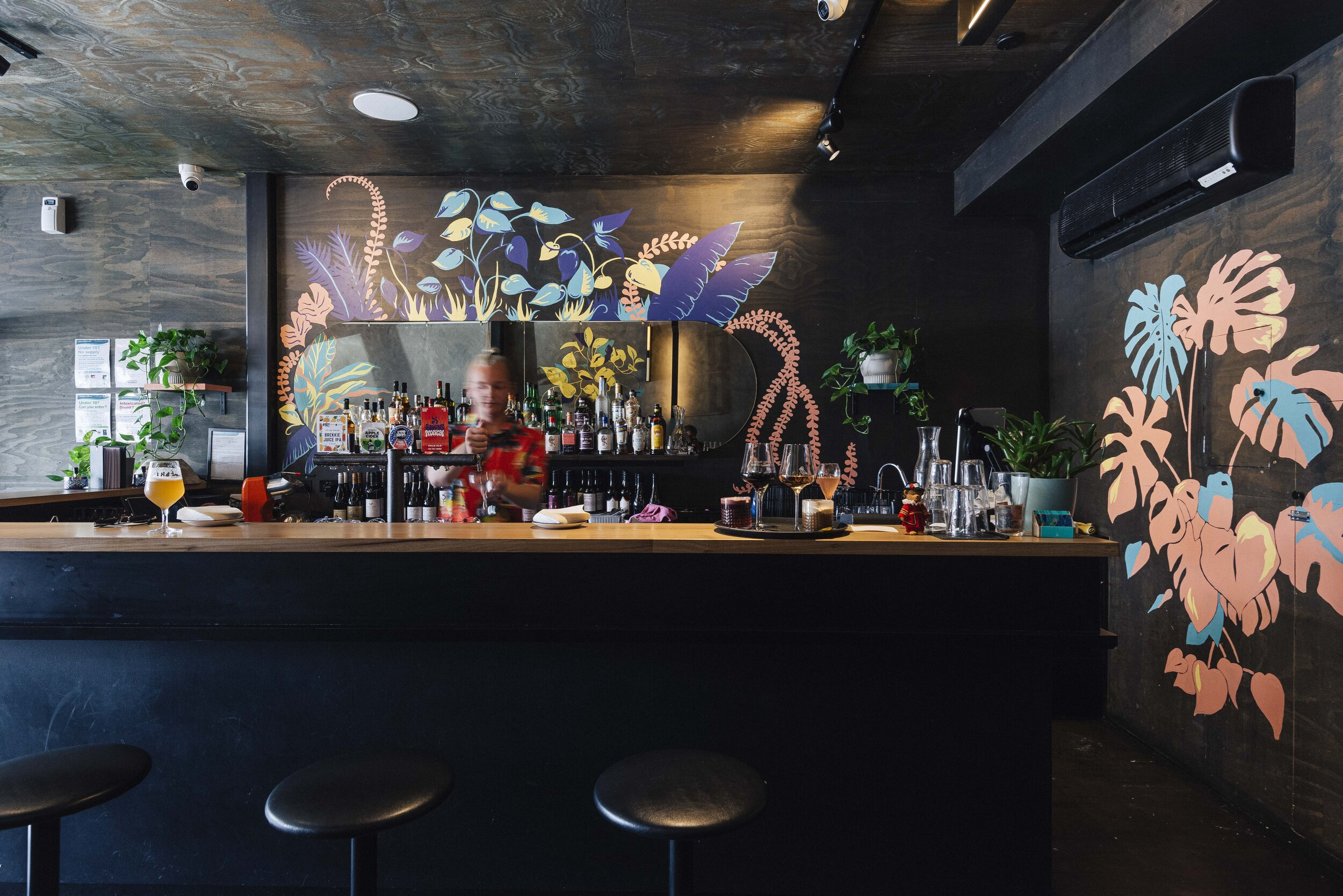 The Fancy Parrot-1871590