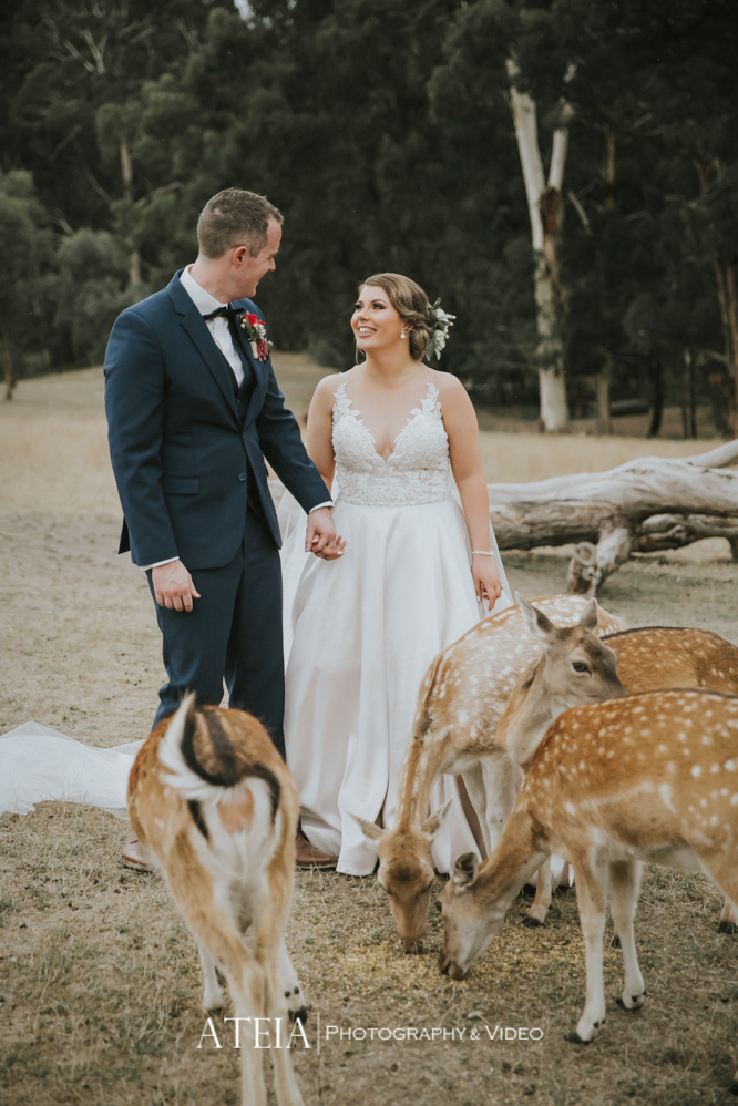 Gum Gully Farm-2021627