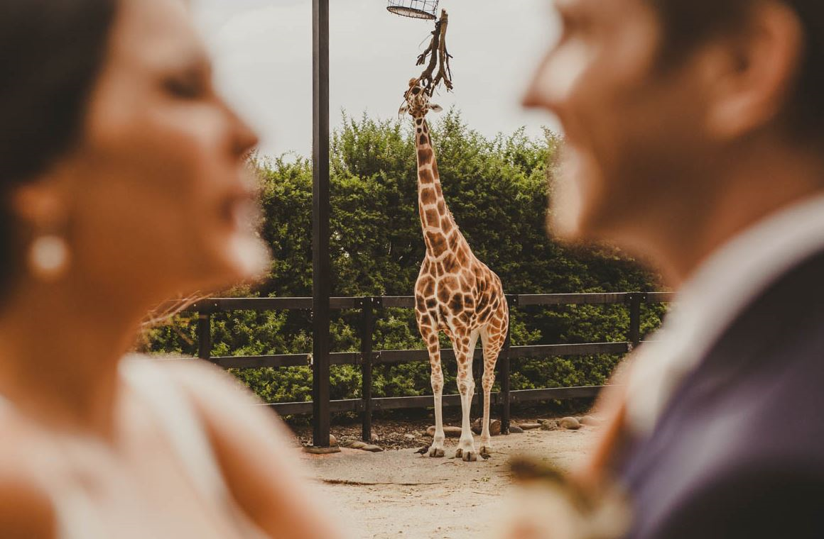 Epicure at Taronga Zoo-1935859