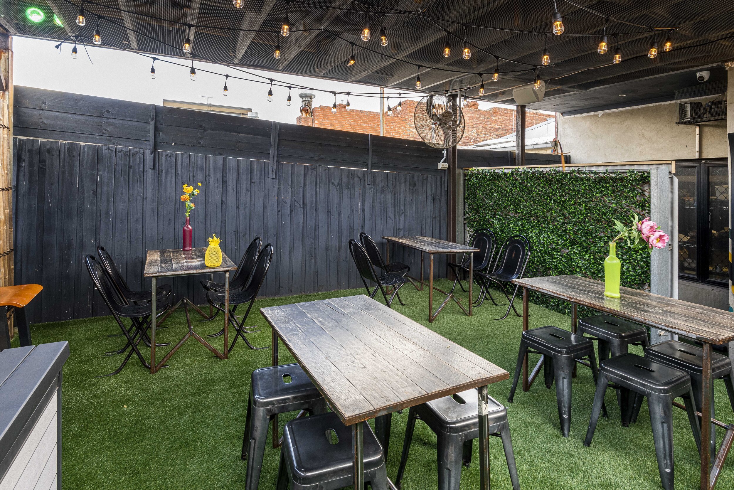 The Fancy Parrot-1871589