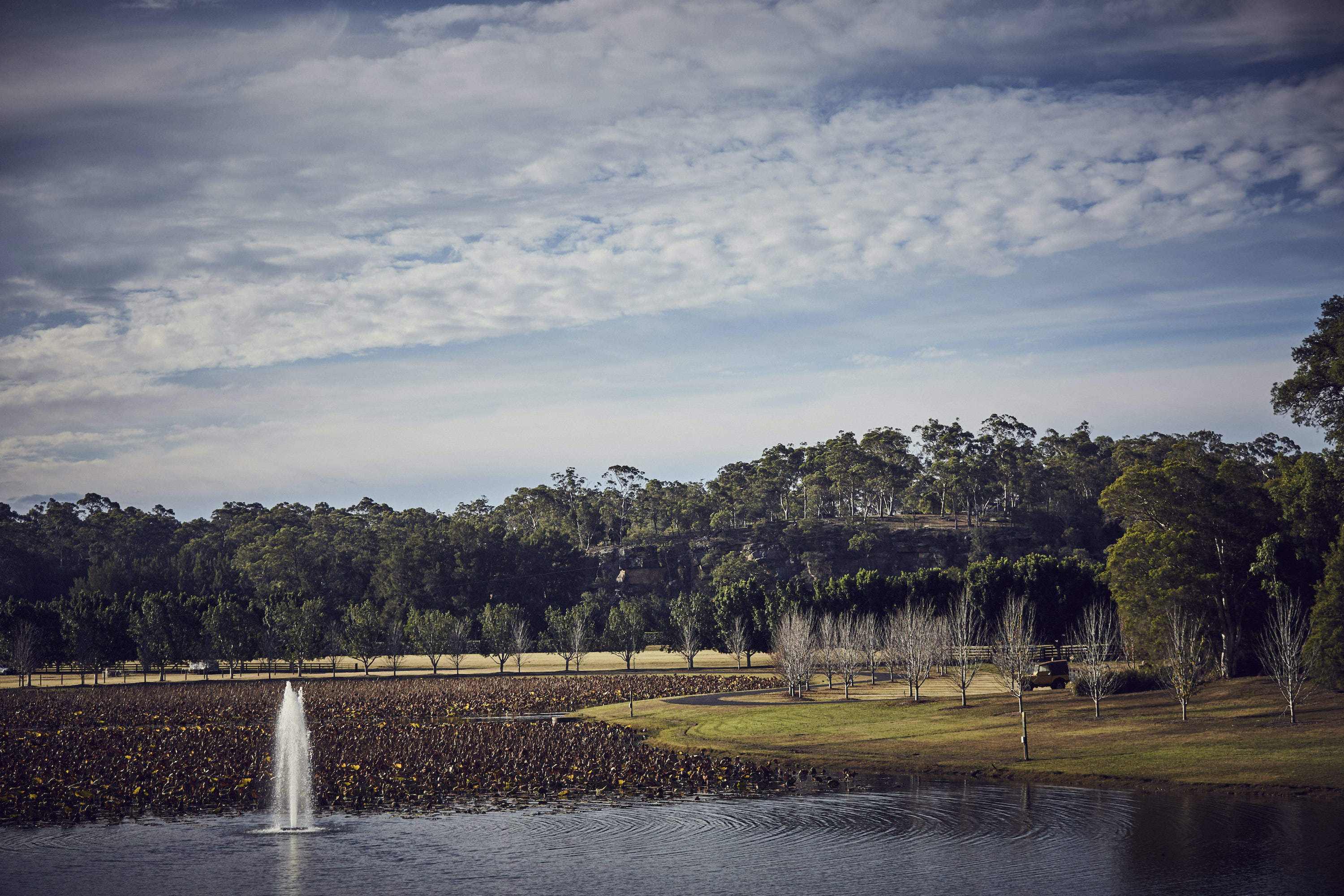 Sweven Estate-2039254