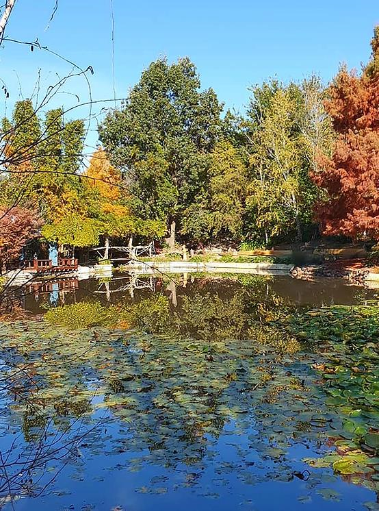 Beautiful Beneagle Farm Gardens & Weddings-1873052
