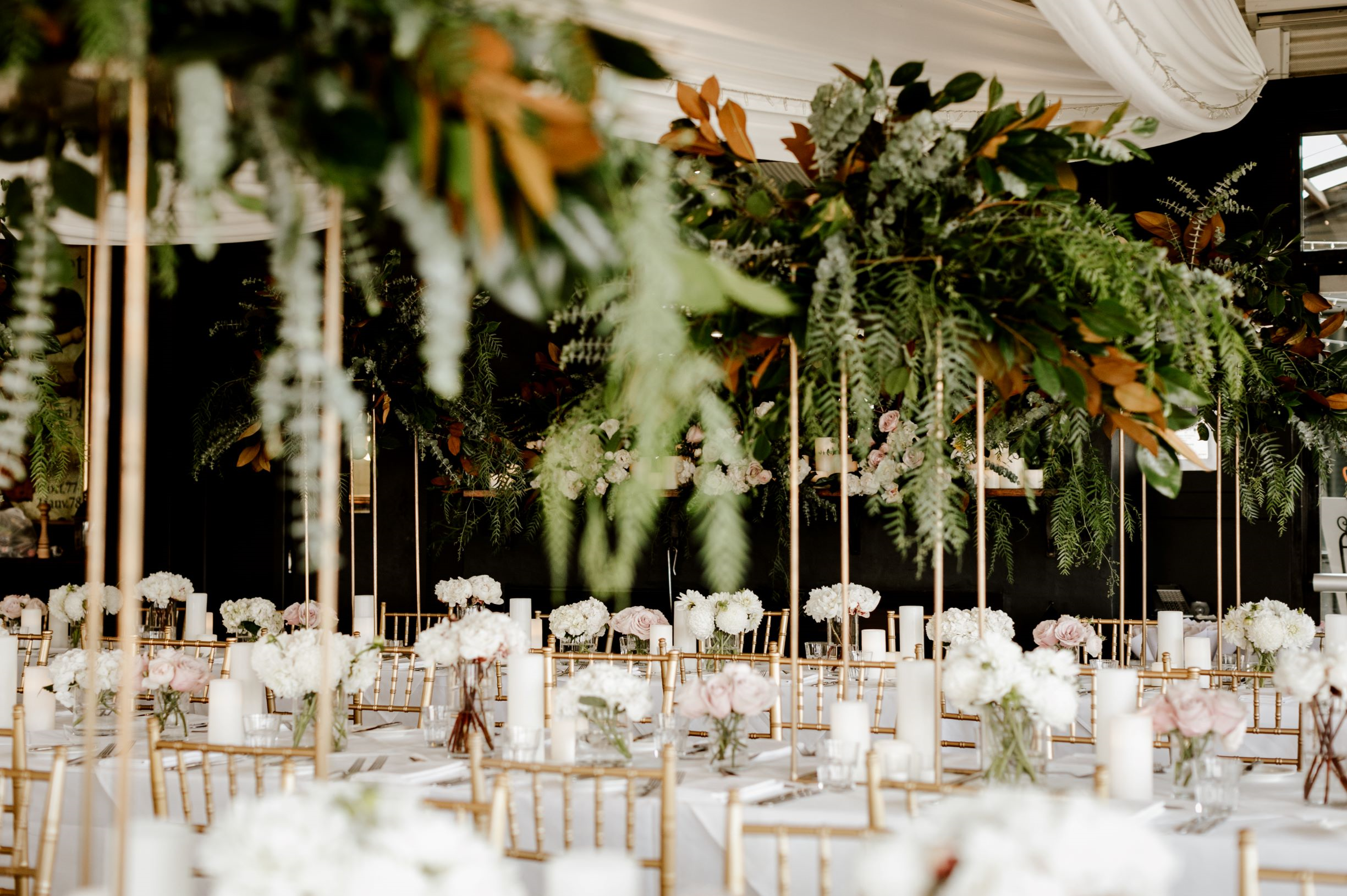 Estate Tuscany-2092190