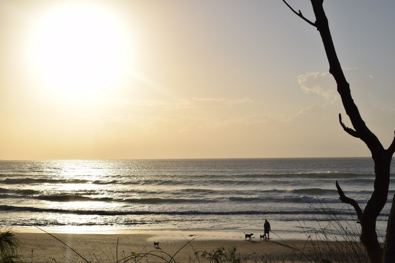 NRMA Darlington Beach Holiday Resort Wedding Venue In Arrawarra ...