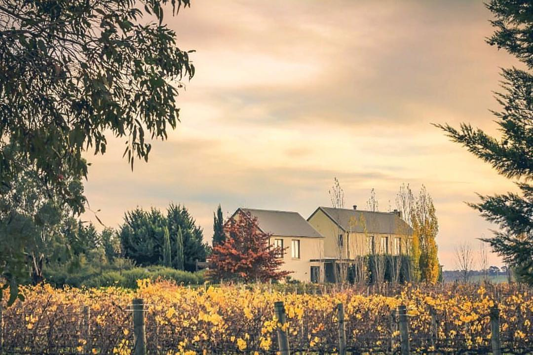 Tramonto Kitchen & Bar Badgers Brook Winery Wedding Venue in