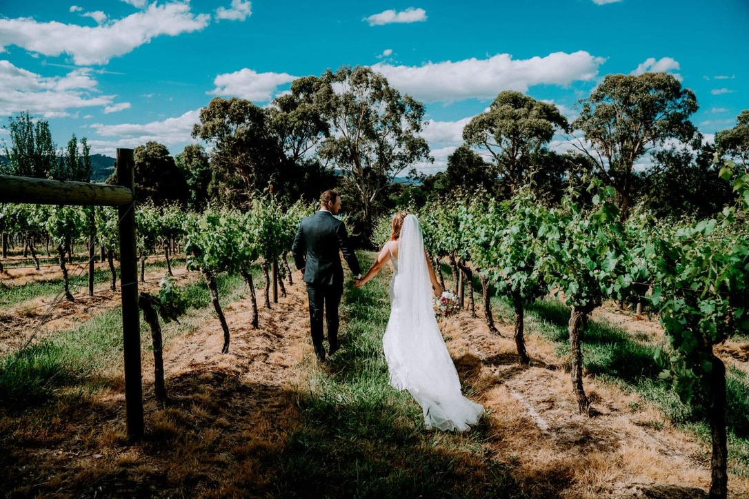 Bianchet Winery-2049445