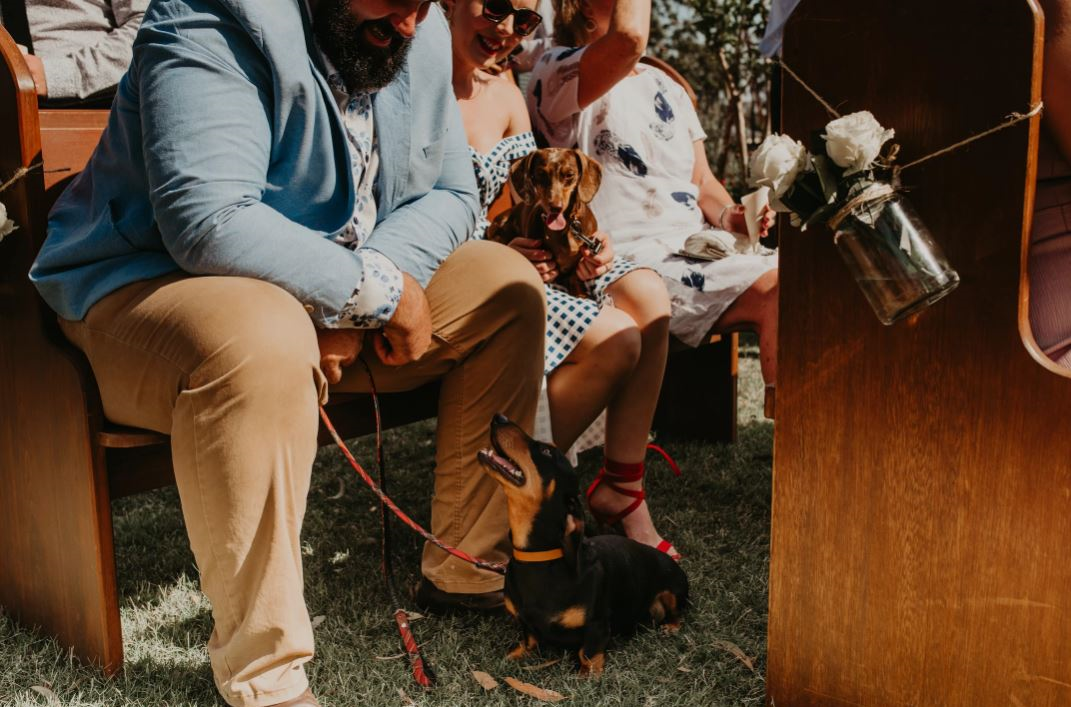 Eleven Acres-2020105