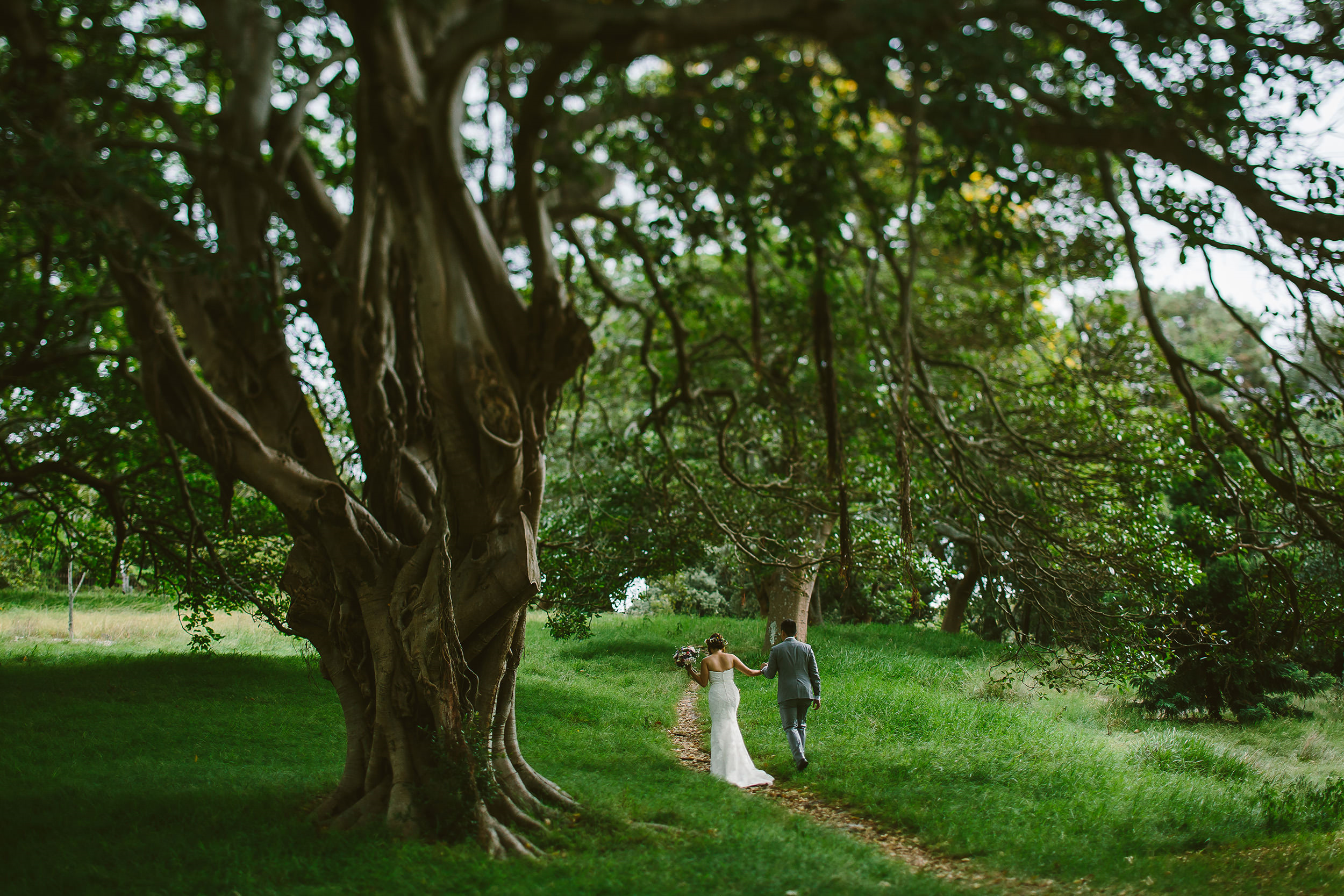 Centennial Parklands-1835543