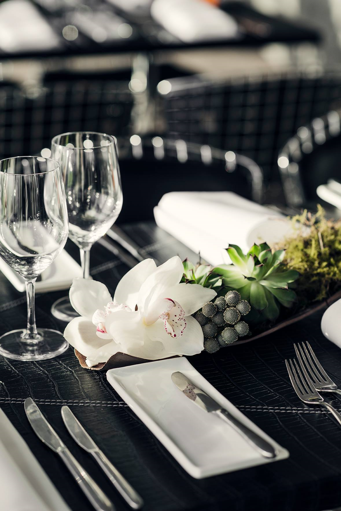 O Bar & Dining-1924942