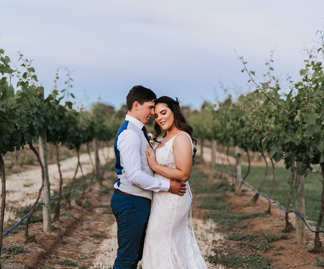 In the Vines Creative