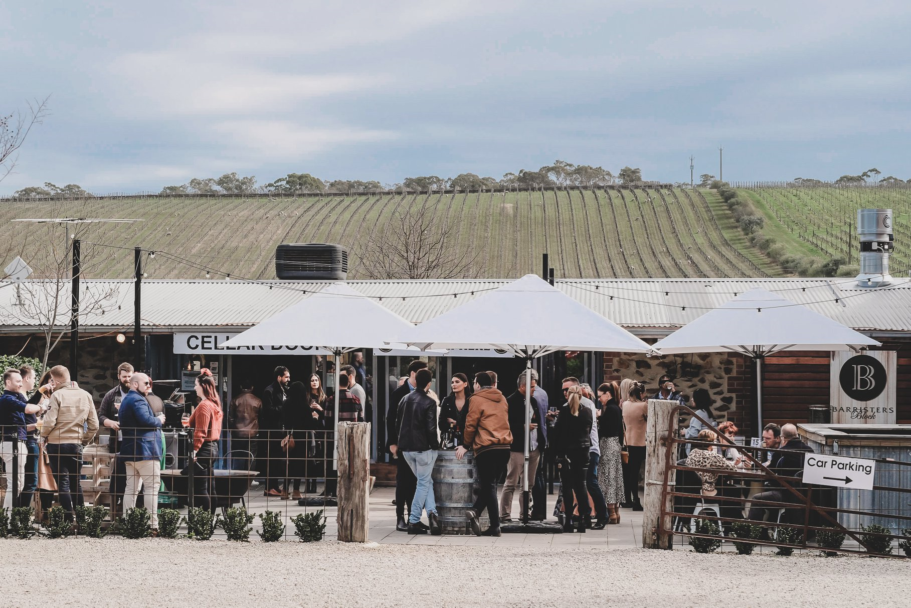 Barristers Block Wines-2038469