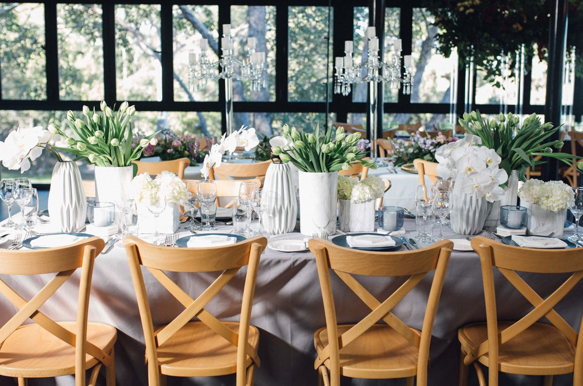 Epicure at Taronga Zoo-1935856