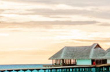 DIY stress all worthwhile for memorable elegant garden wedding of Corinne and Aaron