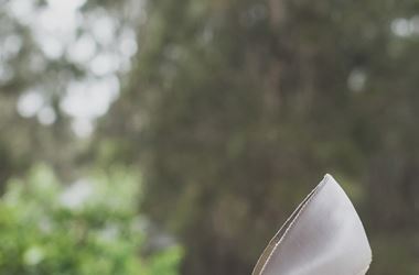 Crime pays: Stephanie and Matt’s rustic vineyard wedding