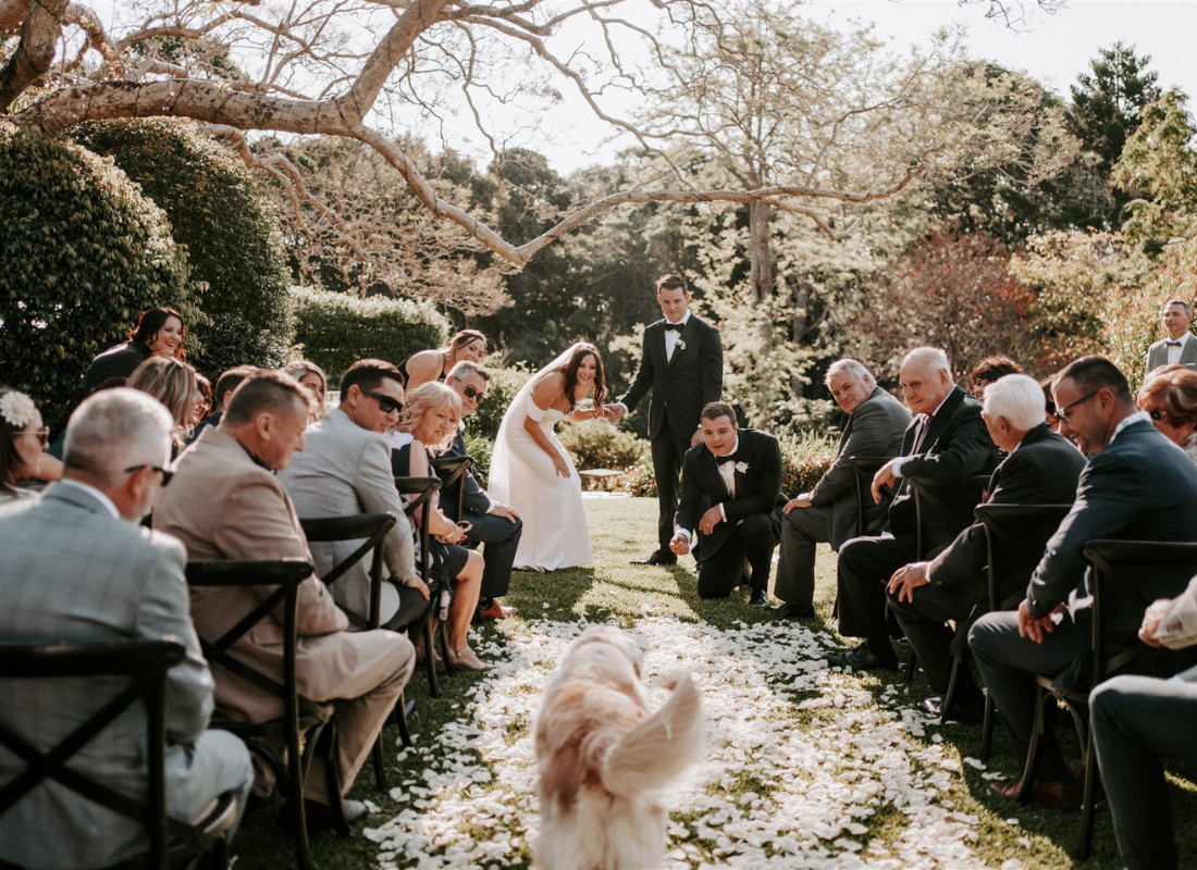 Spicers Clovelly Estate