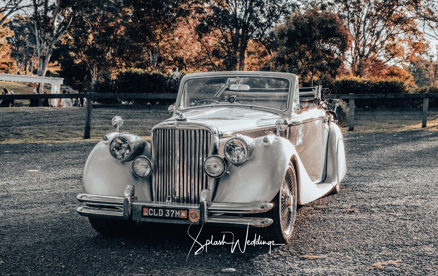 The Vintage Chauffeur