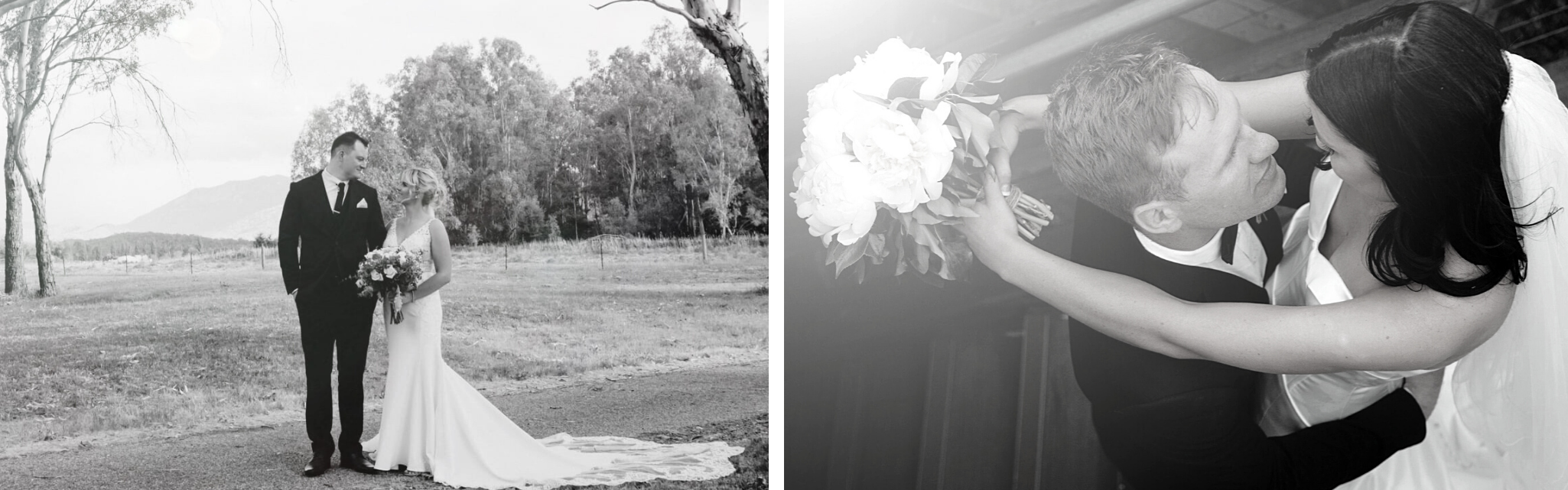 02c913fc-d328-4b38-8f76-b64097491b69-Untitled design.png