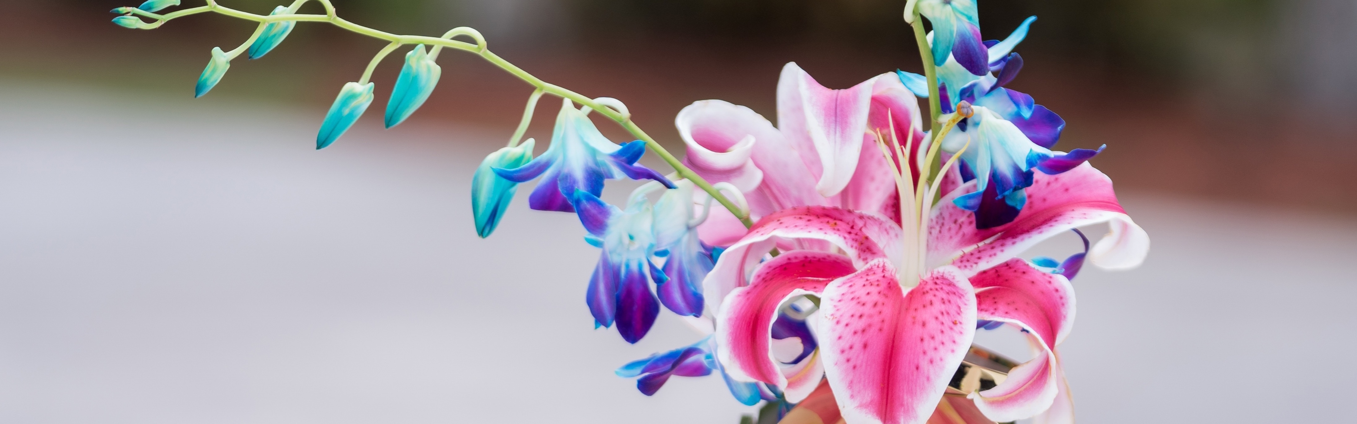 0a436133-4ab2-4120-b005-d7563af2c8b5-DBatista Photography-SHAIRA BARROS WEDDING DAY ORGANIZED-001.jpg