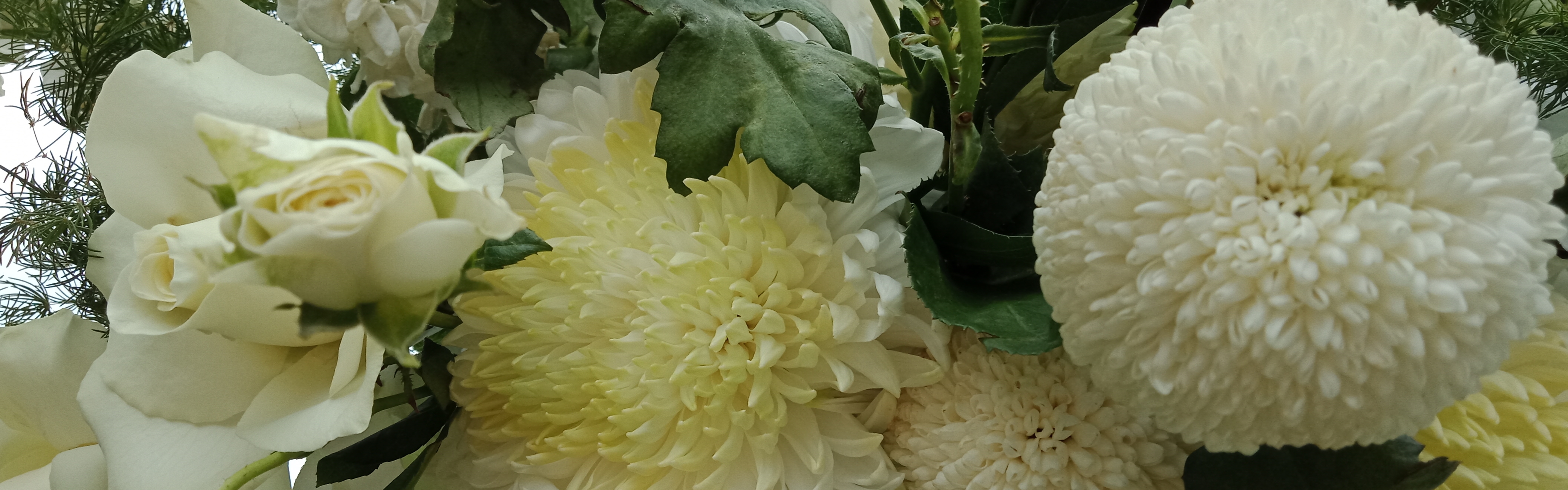 0d204ccc-8f46-457d-9c5a-d2a5b35fb00d-Sandra's Wedding images 2019 045.jpg