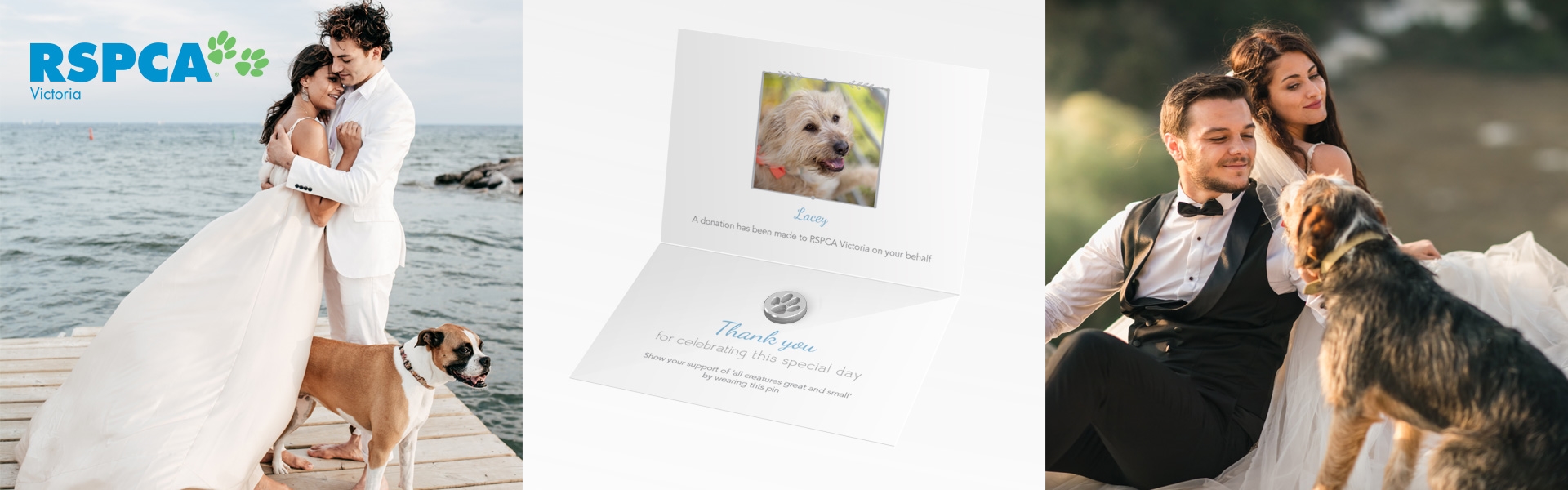 1b68602c-ab9b-425f-8709-c0a0cf8e7727-RS_BonBon_banner_v2 (002).jpg