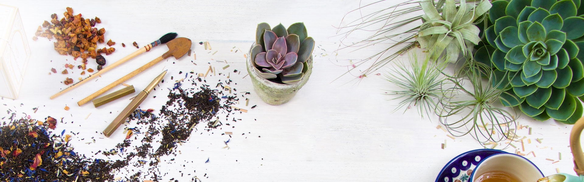 1ef7d727-9961-4015-ae08-c21994d18644-Sara's Garden hero banner.jpg