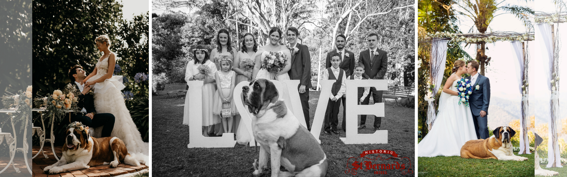 1f27d8b6-a1c7-45e8-8c2d-cd53c3e09c34-Hero Image 4.png