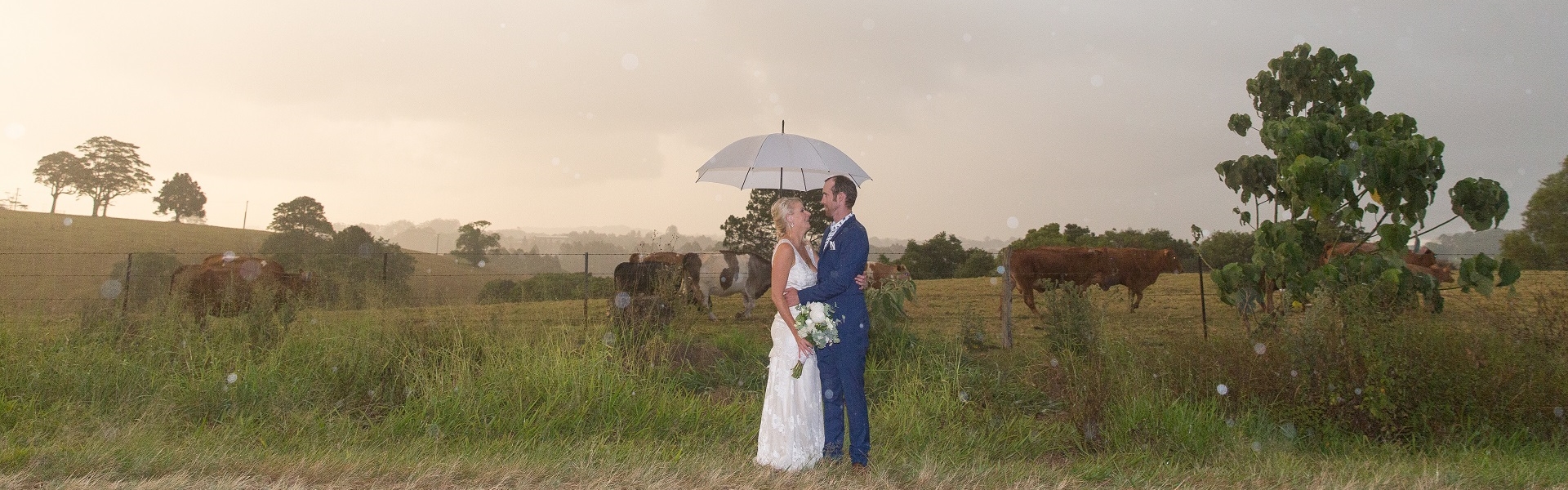 1f61a4a3-81fb-40ed-90c1-c7f2c8595a88-JK 191.jpg