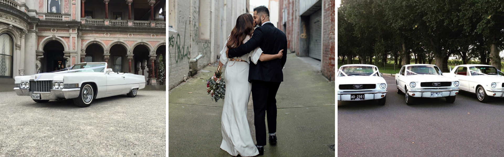 25306984-23d4-480c-b72a-d54b813dc36e-Untitled design (6).png