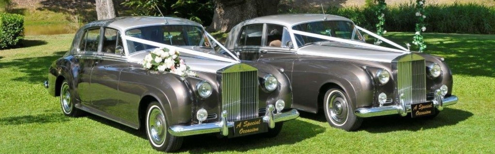 2582fee9-8c21-4549-8866-eed77435eb0d-Untitled design (56).jpg