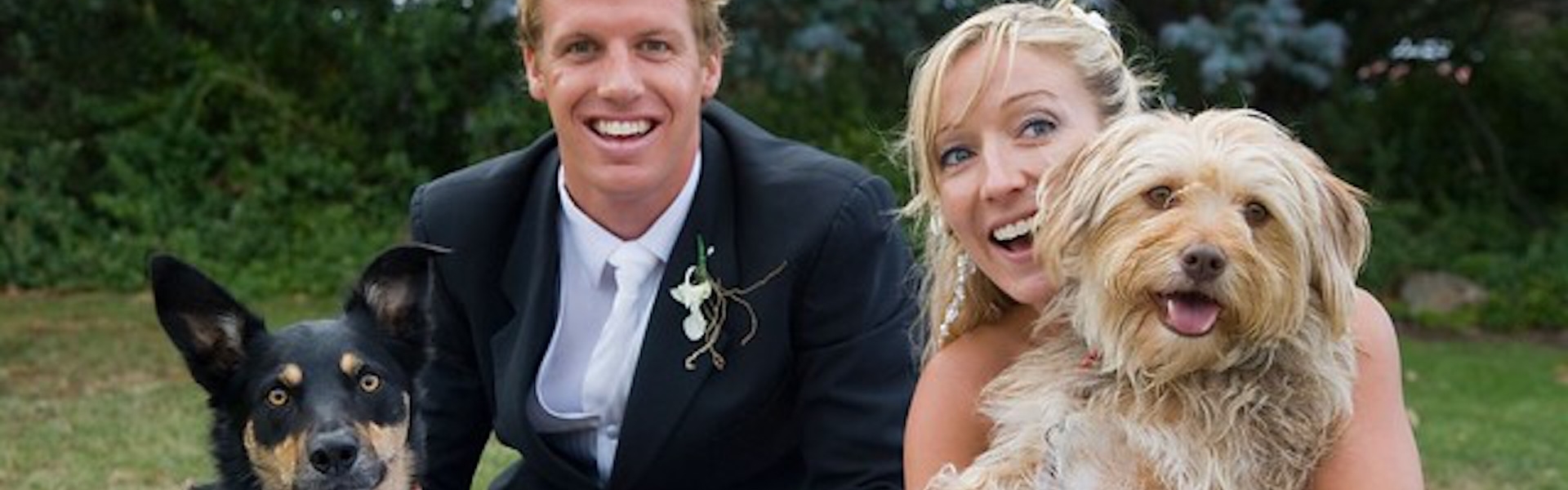 26af7a78-d25a-4d9a-ae70-d320aaffbe58-Pets in weddings.jpg