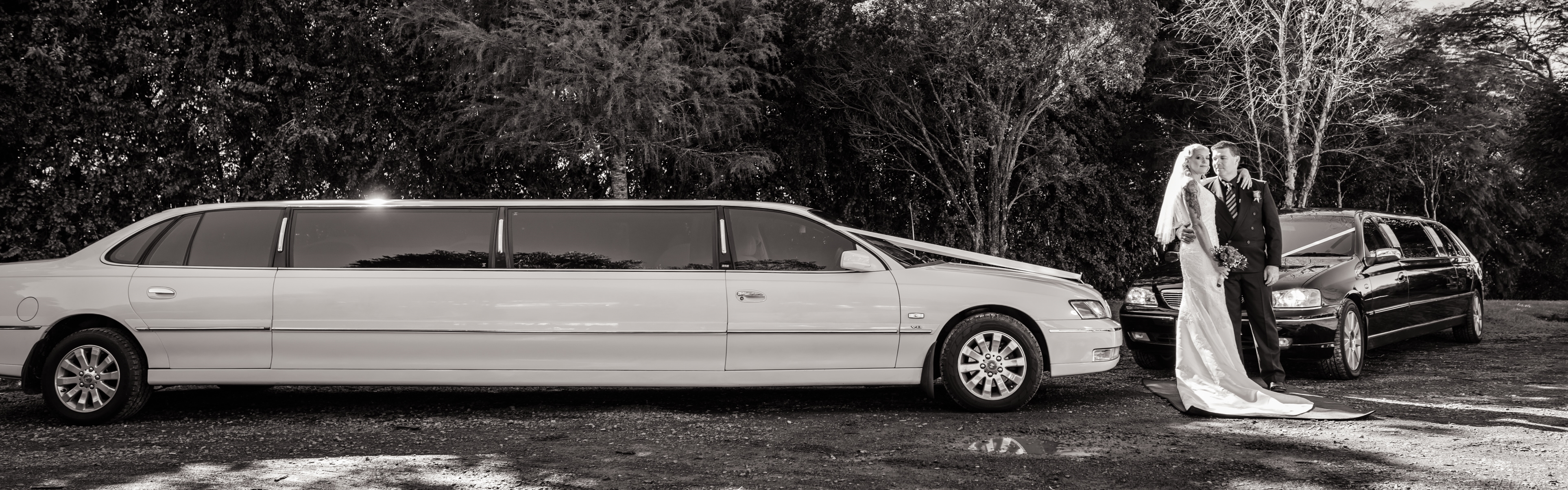 2be18f92-4327-4728-922c-8def0c0d8da7-QLD Limos B&W 2.jpg