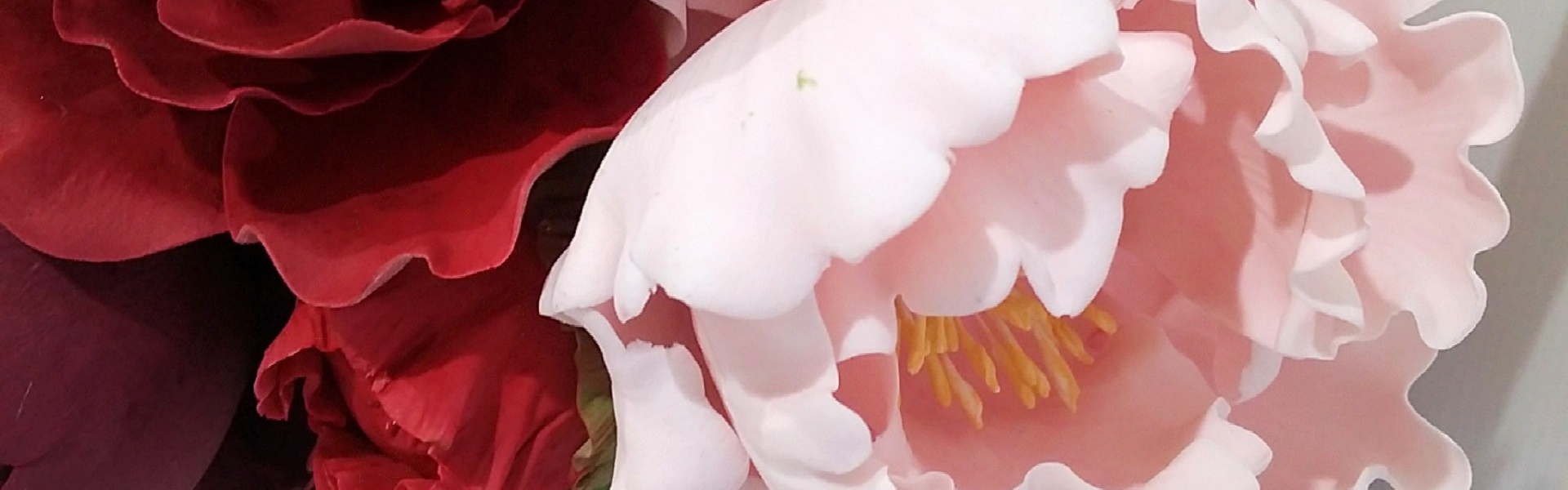 3ad66408-0c5c-4574-bf84-34cf3d730ab1-5 textures blooms 3.jpg