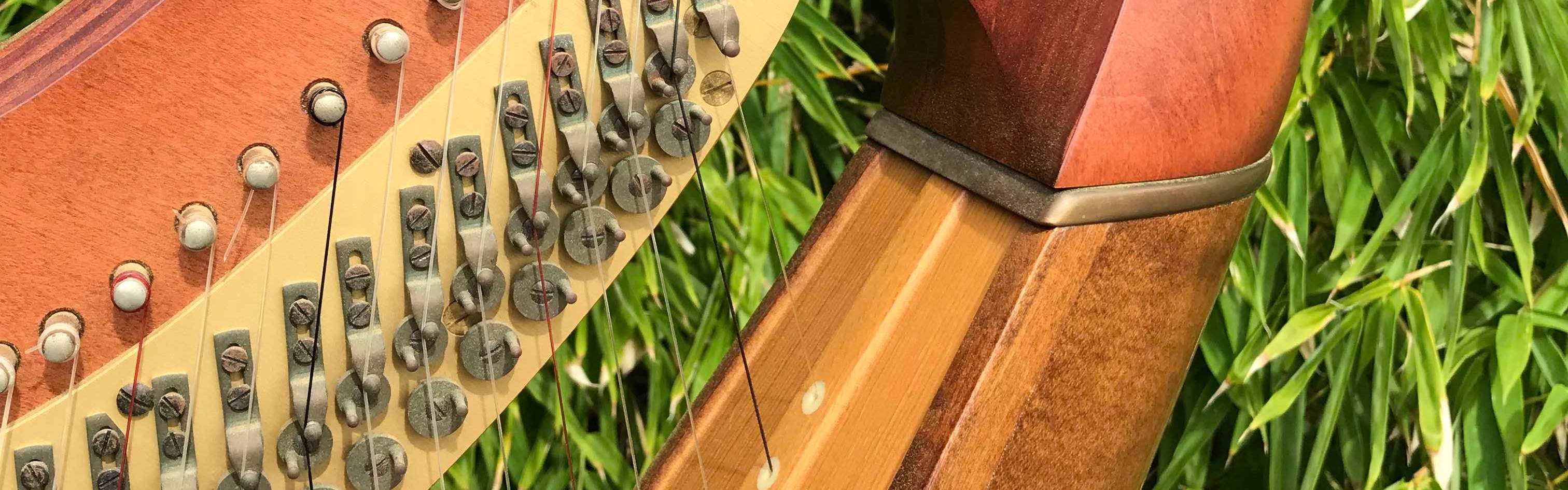 3f3228b4-12d0-4092-badc-6dd7d2ee60dd-60817380_344253866283912_4553173771988500480_n (1).jpg